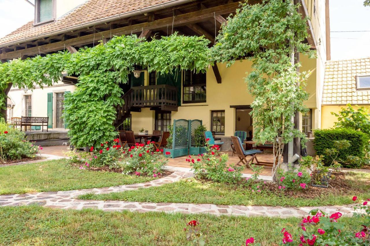 Apartament Rose - Piscine Partagee - Proche Europa Park Hessenheim Zewnętrze zdjęcie